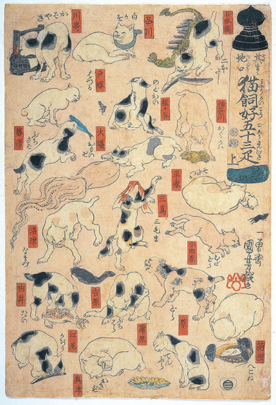 Cats in an Japanese old traditional painting